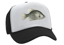 Load image into Gallery viewer, BLACK CRAPPIE - lake fish pond angler fishing - Adjustable Snap Back Trucker Cap Hat
