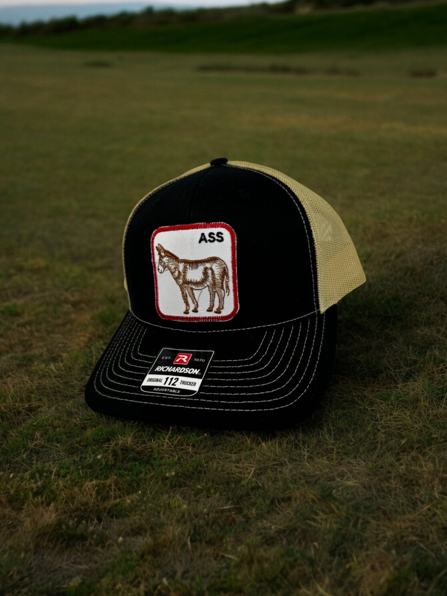 Donkey (ASS) Patch Embroidered Snapback Trucker Hat